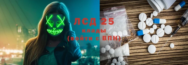 бошки Бородино