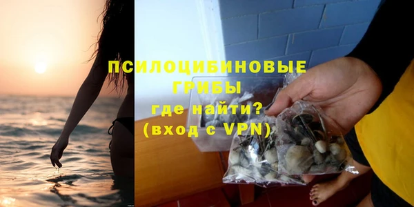 бошки Бородино