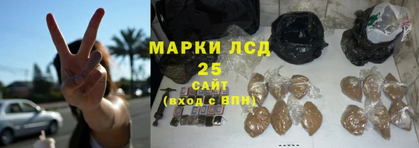 бошки Бородино