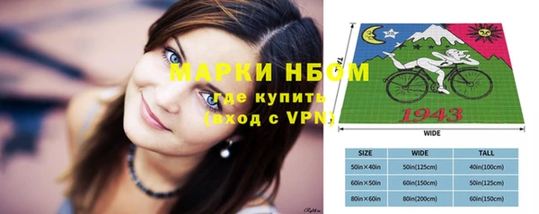 бошки Бородино