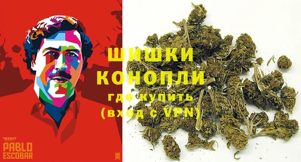 амф Бугульма