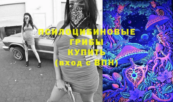 бошки Бородино