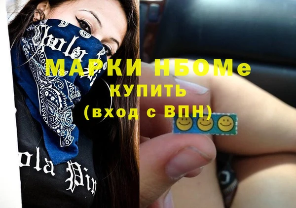бошки Бородино
