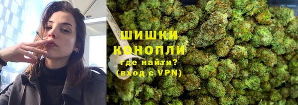 дмт Бронницы