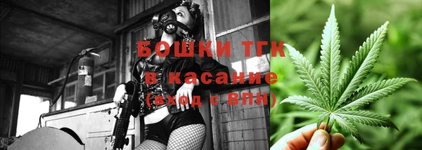 бошки Бородино