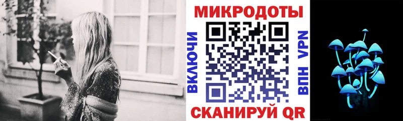 Купить закладки  Киселёвск  Галлюциногенные грибы GOLDEN TEACHER 